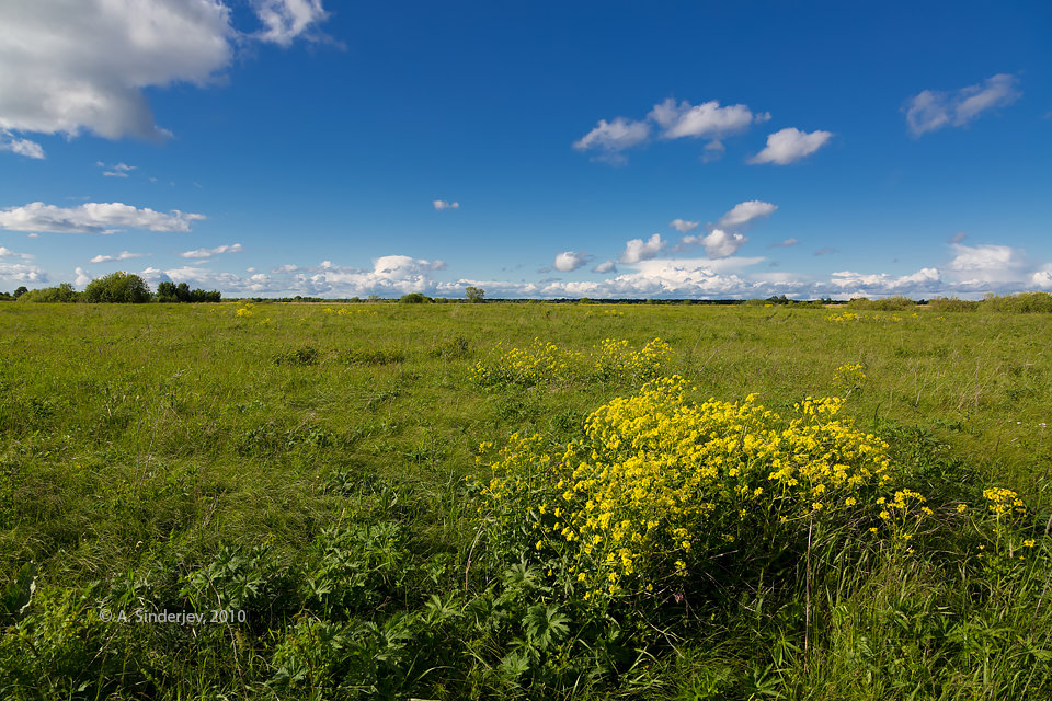 башкирия луга поля фото