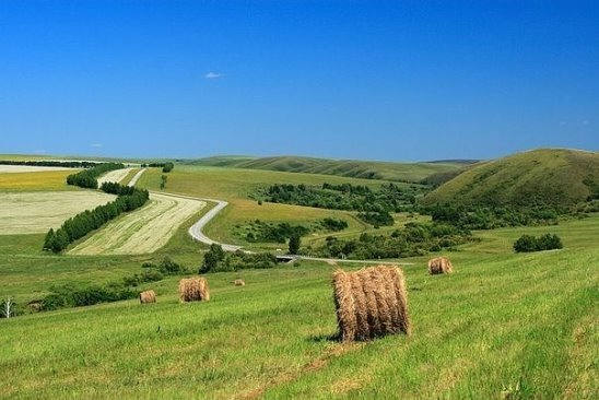 белорусские ландшафты фото