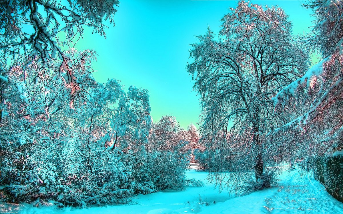 бирюзовая зима фото