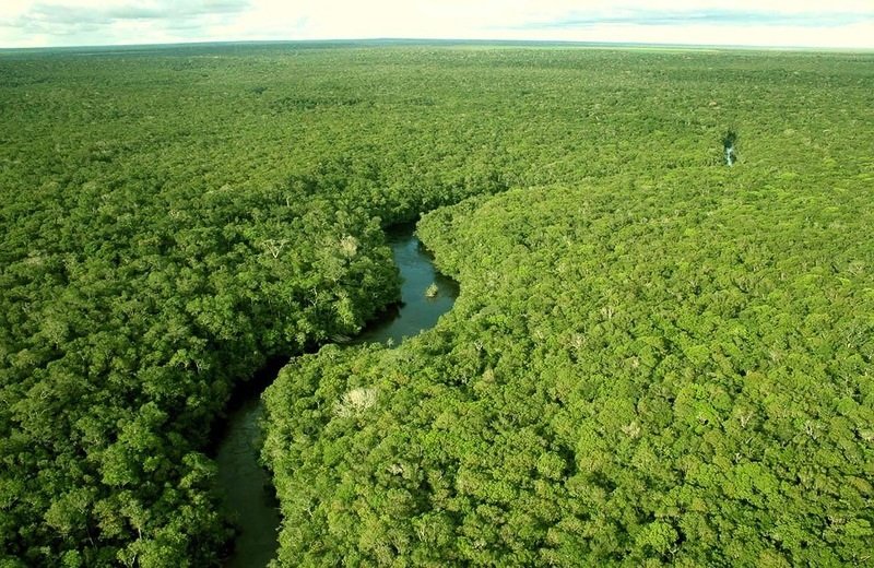 бразилия джунгли амазонки фото