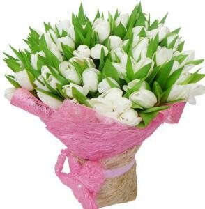 букет из 15 белых тюльпанов фото