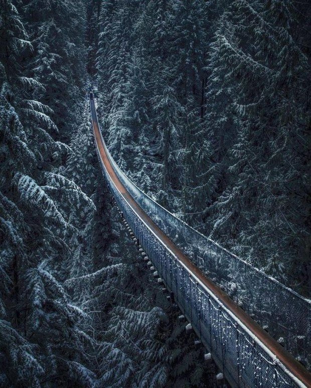 Capilano Suspension Bridge фото