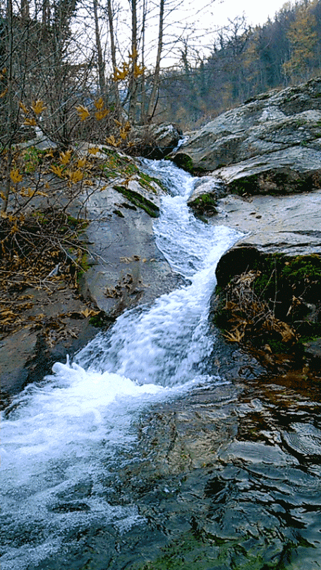 чарышский водопад фото