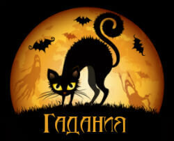черная кошка хэллоуин фото