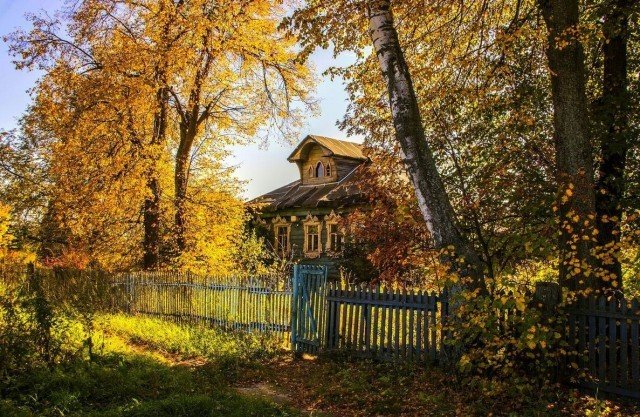 деревенская осень фото
