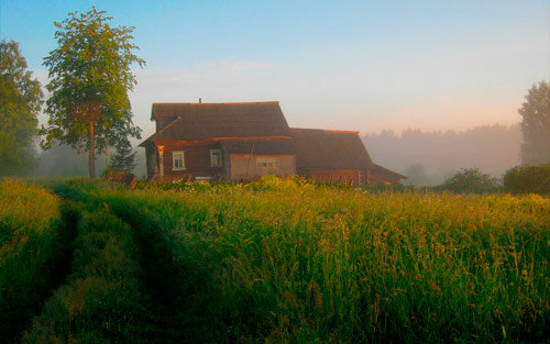 деревенские дома фото красивые лето фото