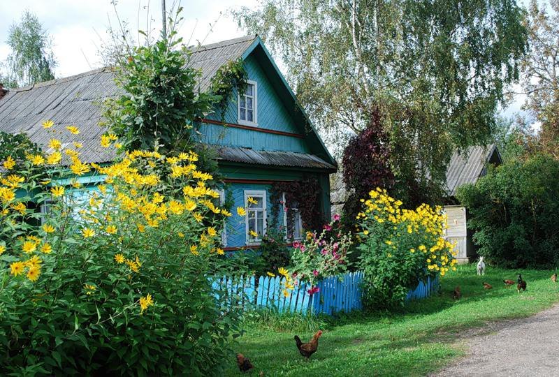 деревенский домик с палисадником картинка фото