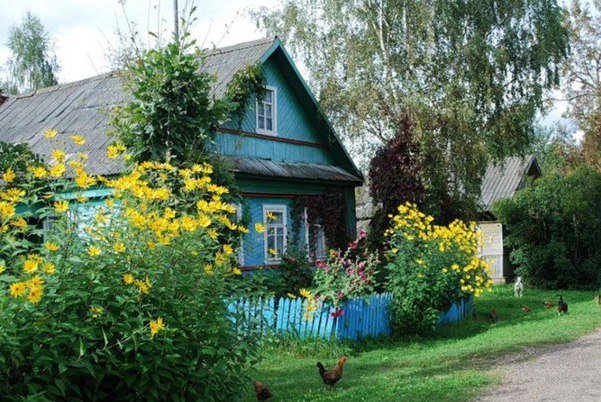 деревенский домик с палисадником картинка фото