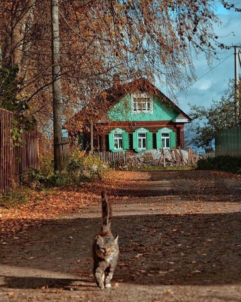 деревни россии фото