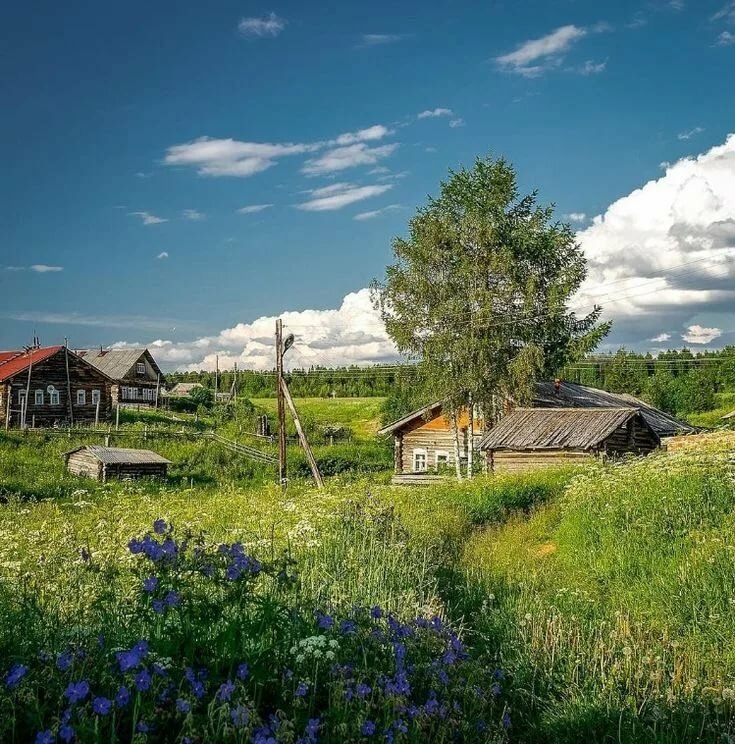 деревня кимжа фото