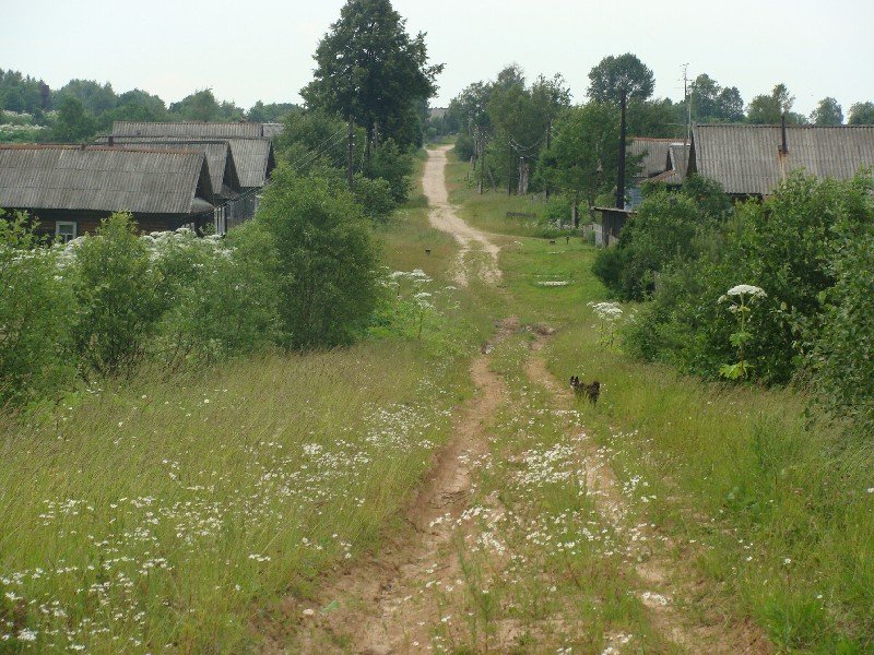 деревня курково тверская область фото