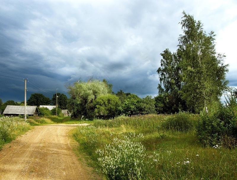 деревня летом фото