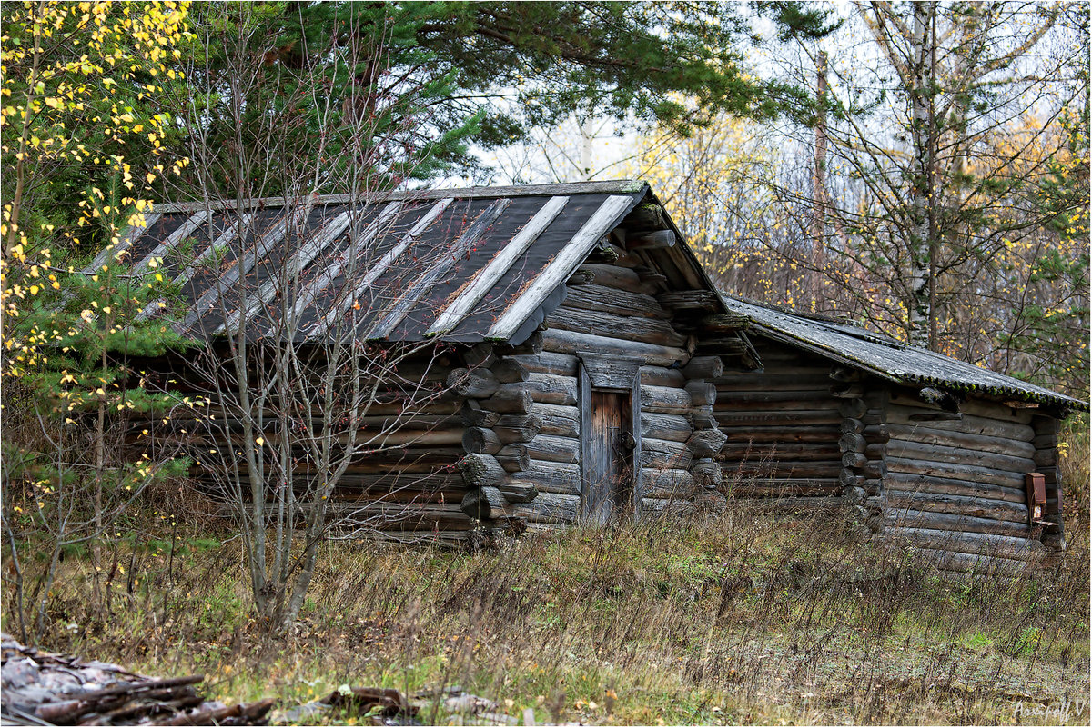 деревня-музей забродье фото
