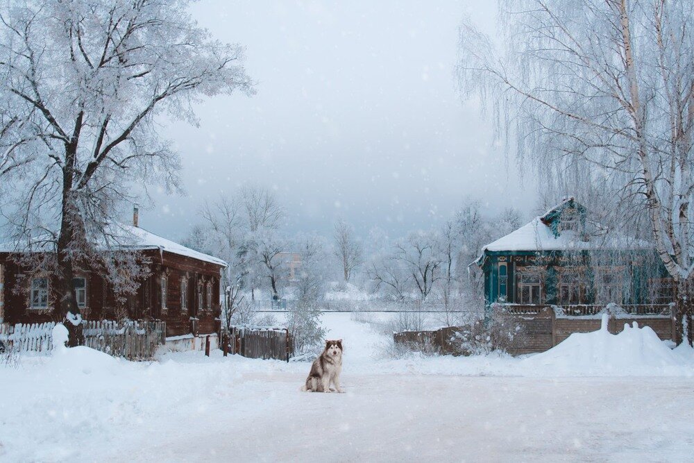 деревня зимой фото