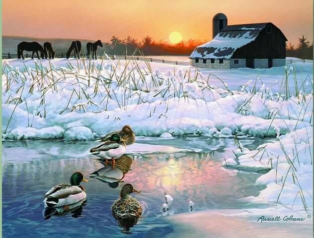 dimensions 35304 winter morning фото