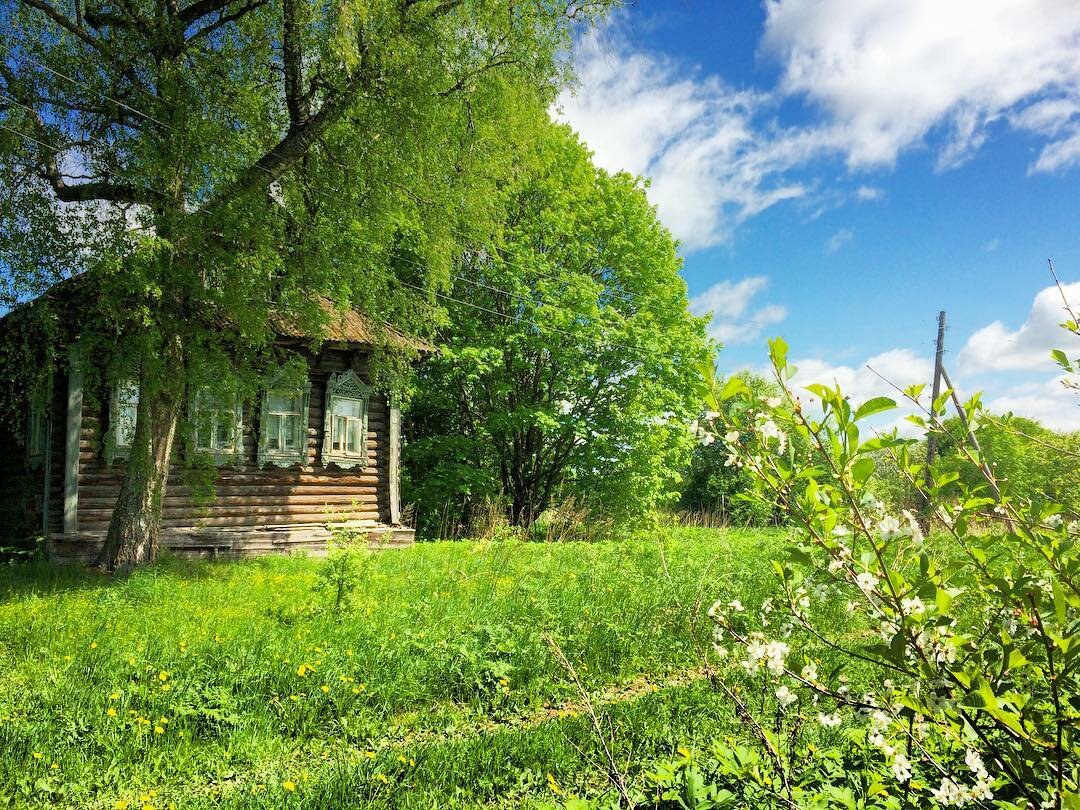 домик в деревне фото летом фото