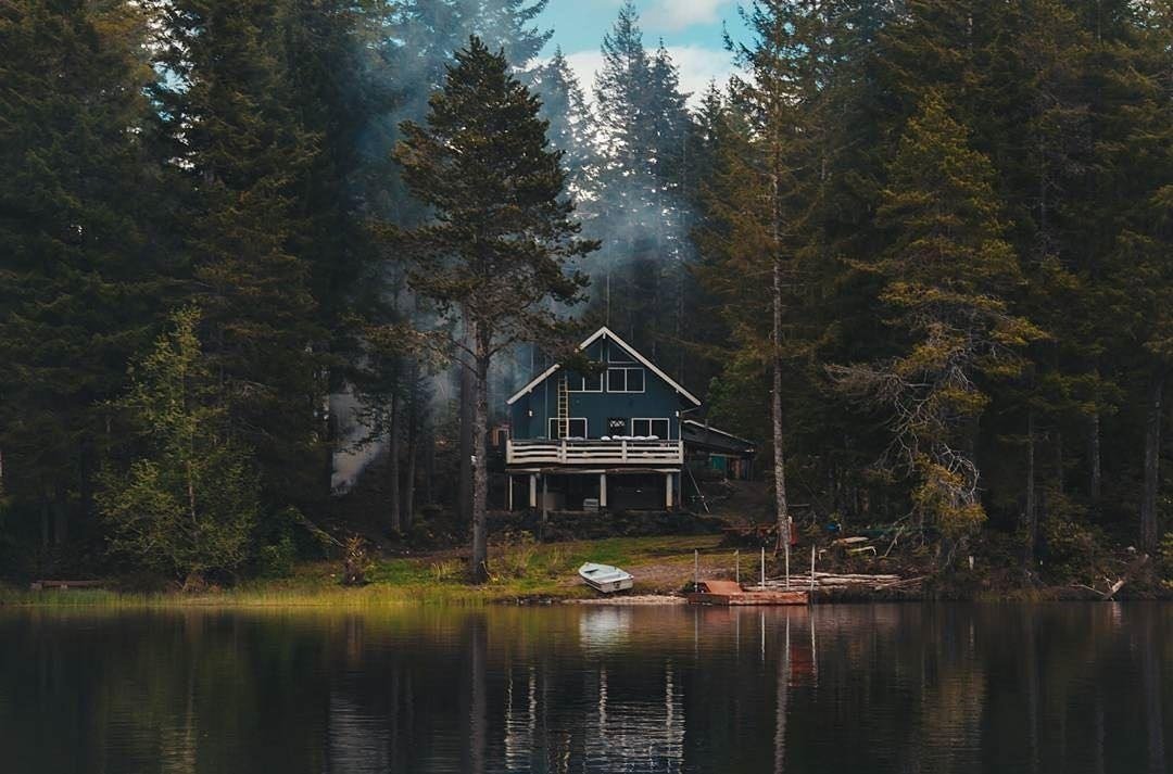 домик в глуши леса фото