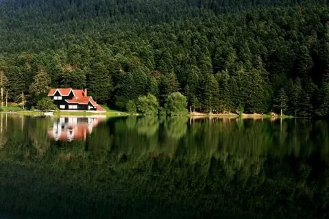 домик в лесу у озера фото