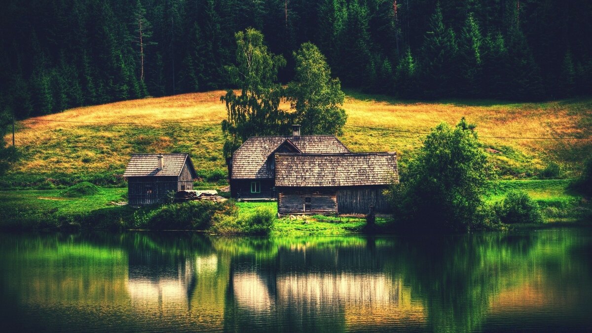 домик в лесу у реки фото