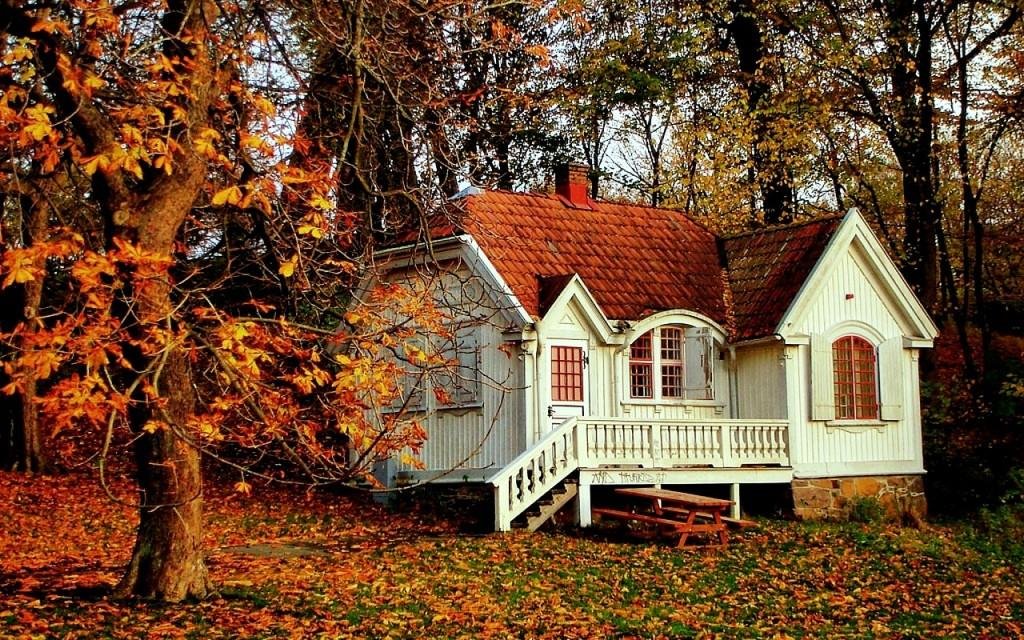 домик в осеннем лесу фото