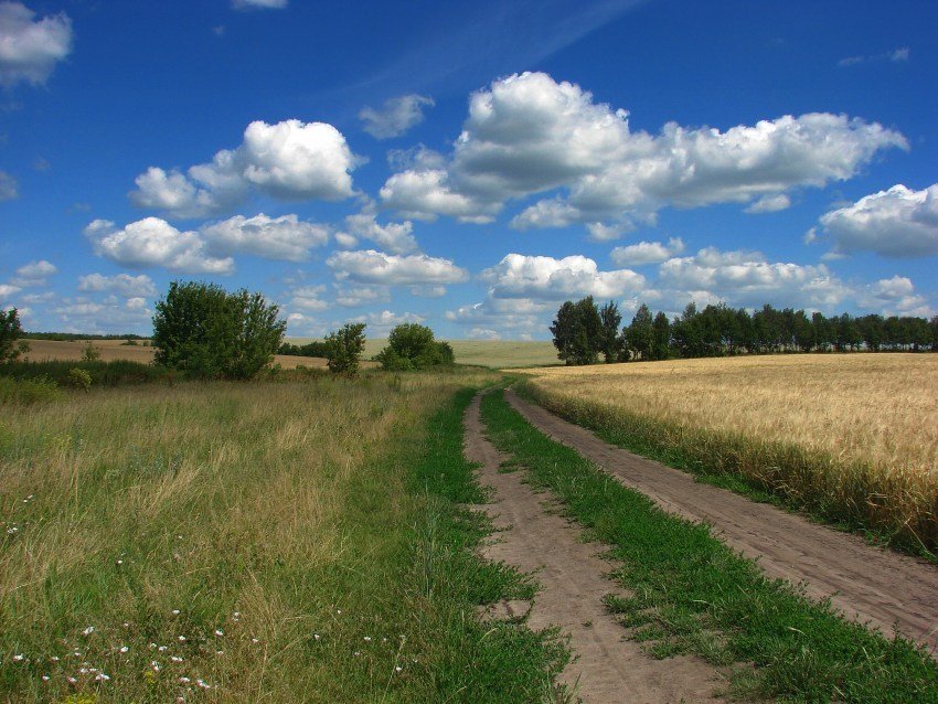 дорога в поле фото