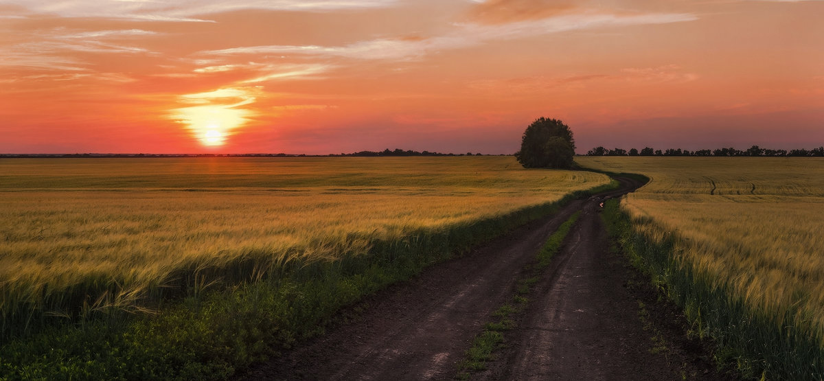 дорога в степи на закате фото