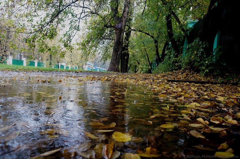 дождь в сентябре фото