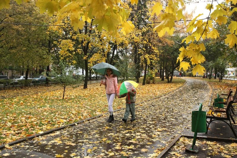 дождливая осень в москве фото