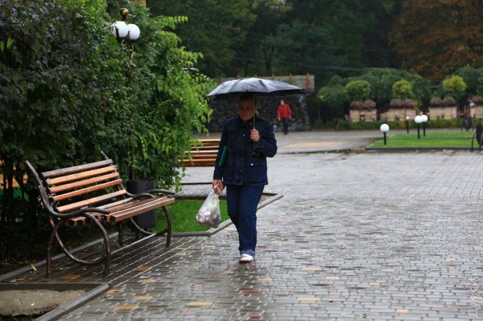 дождливая погода фото