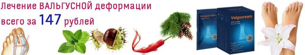 еловая ветка фото