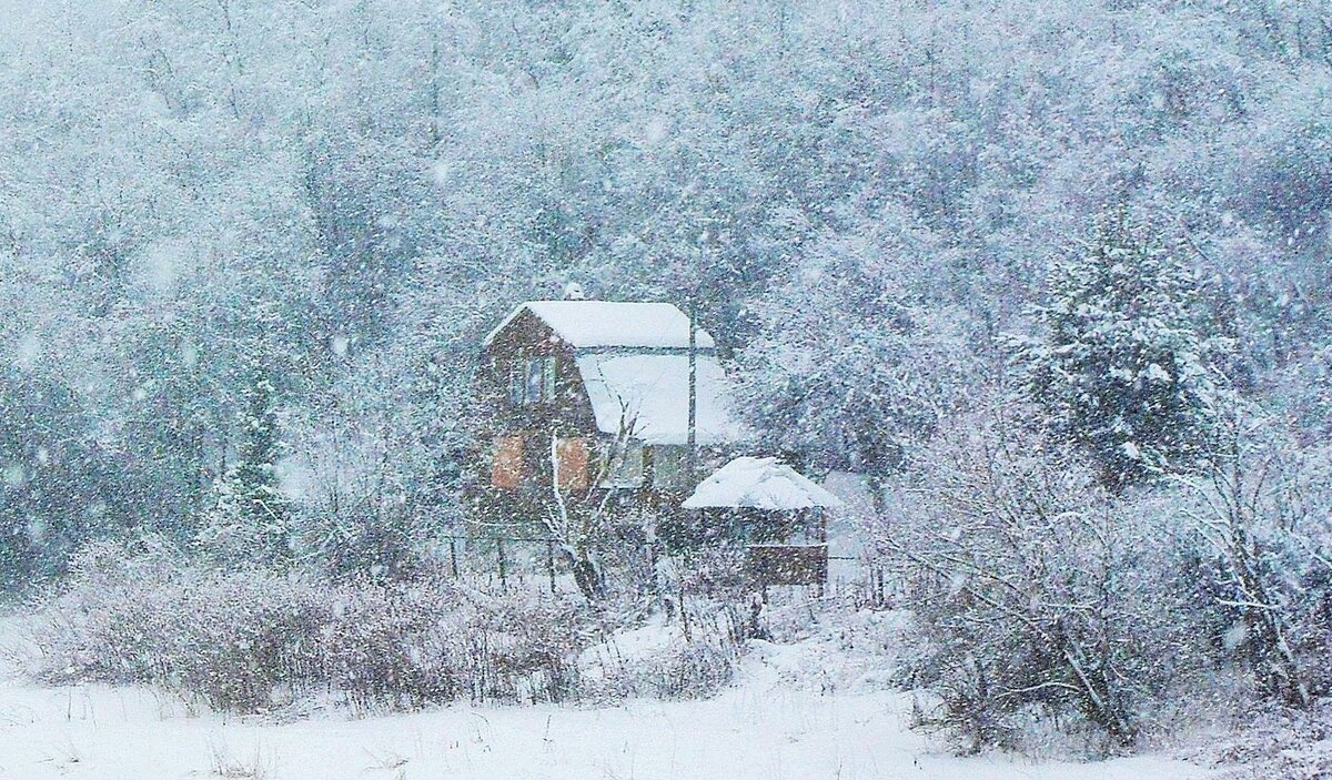 февраль метель картинки фото