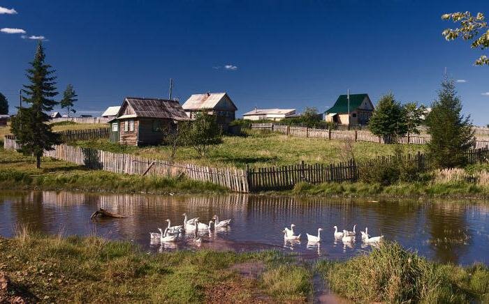 фото деревни летом россия фото