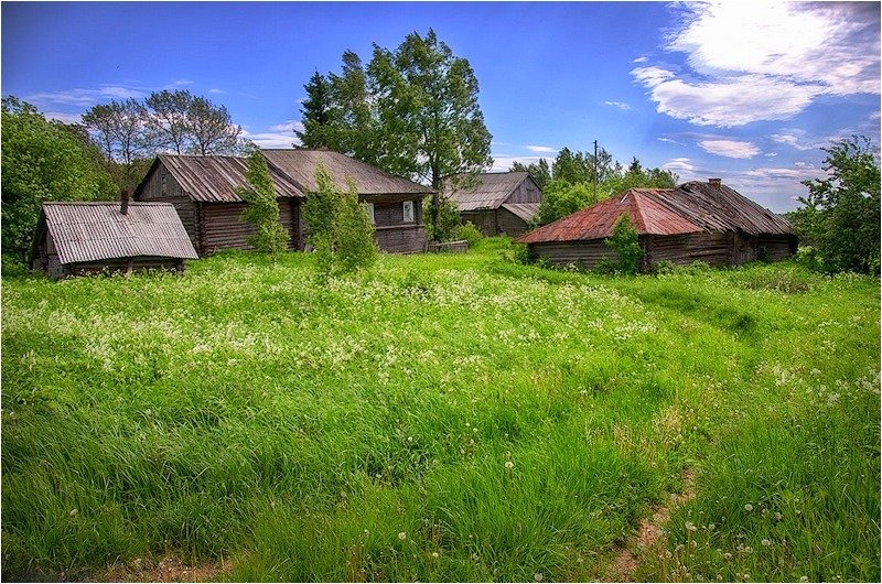 фото деревни летом россия фото