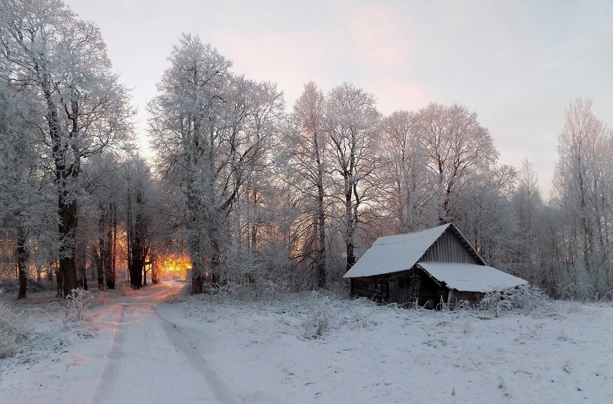 фото домик на опушке,зима фото