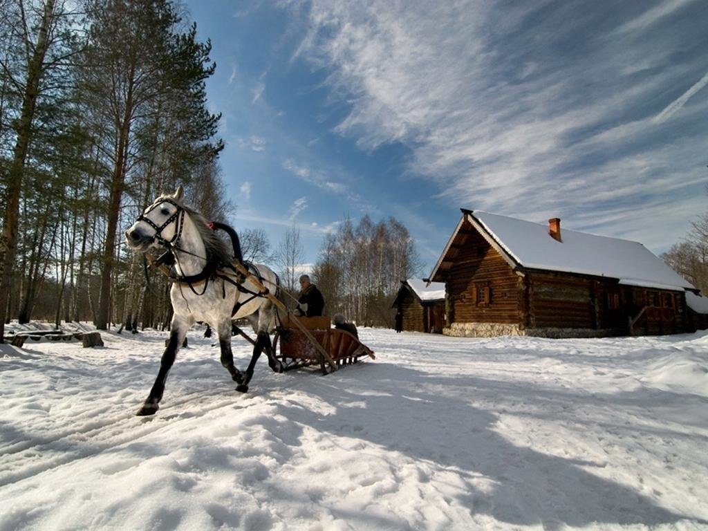 фото лошади зимой в деревне фото