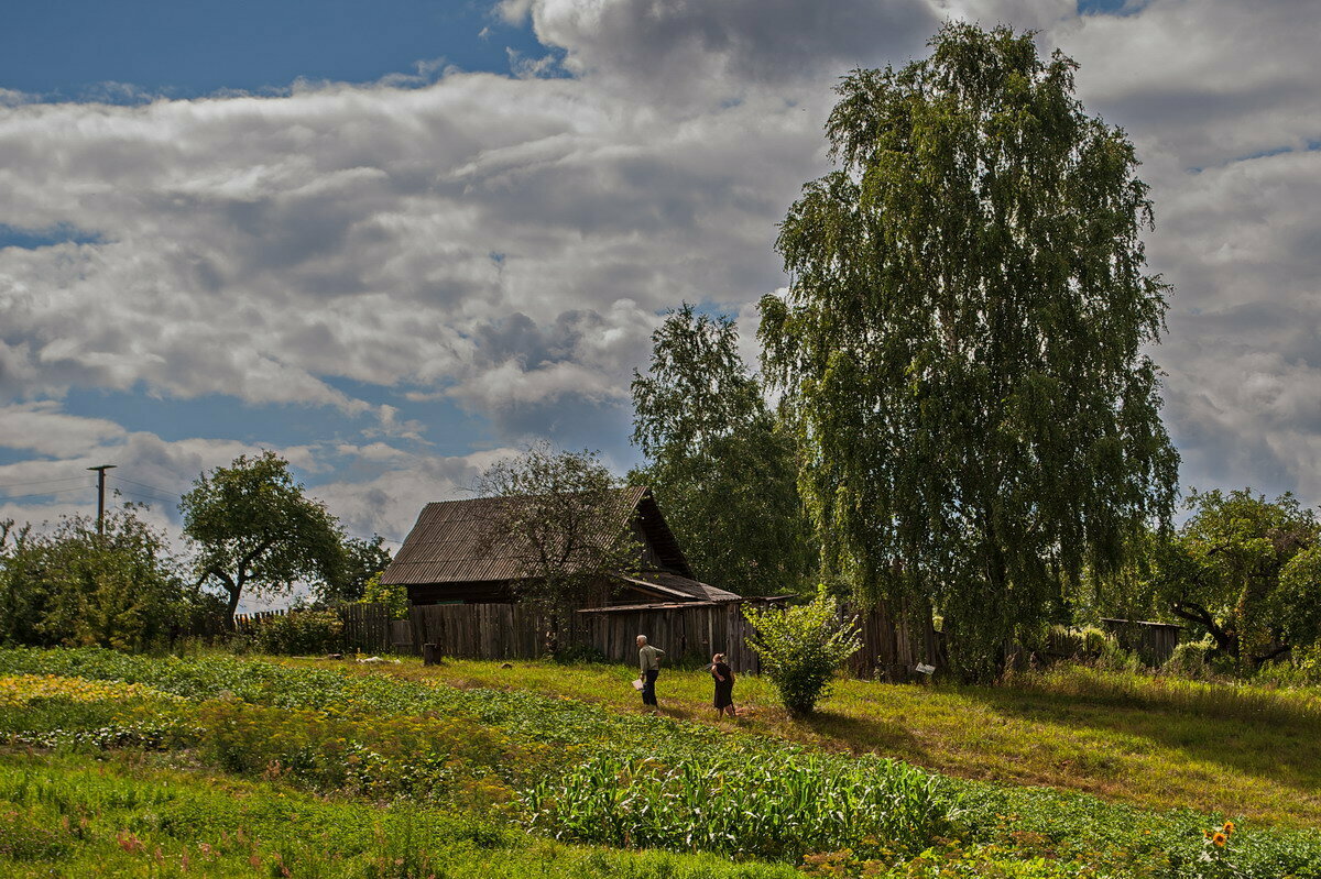 фото пейзажи лето деревня фото