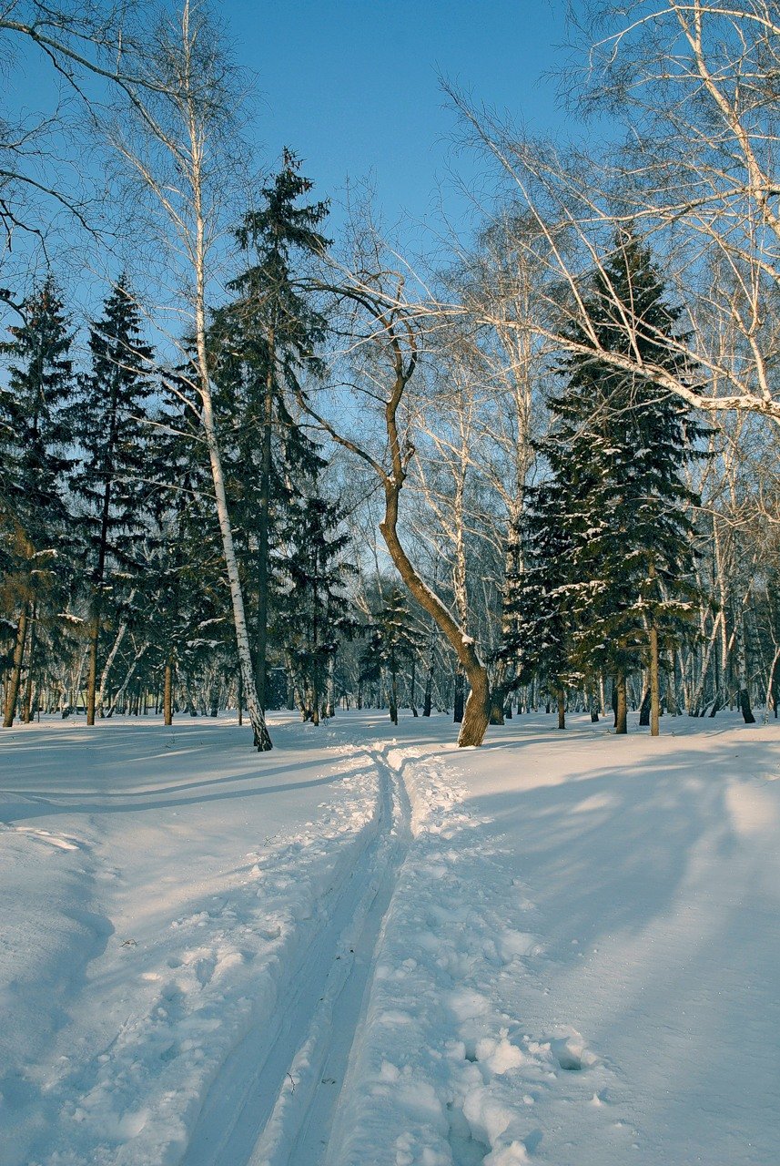 фото природы зима омск фото