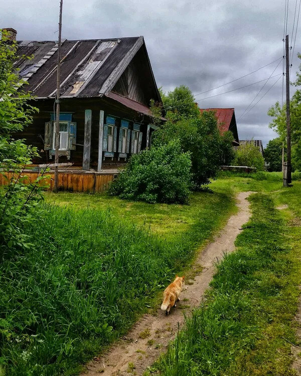 фото родной дом в деревне фото