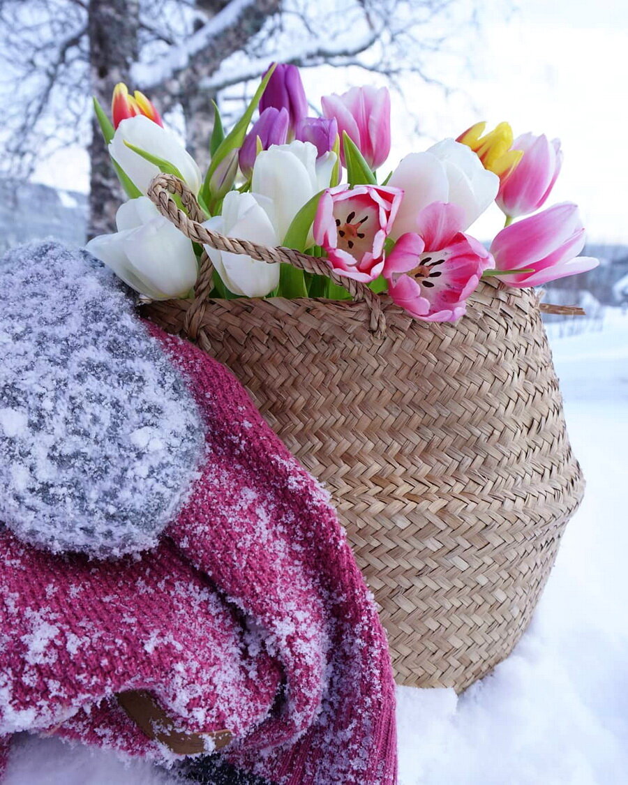 фото весна 8 марта фото