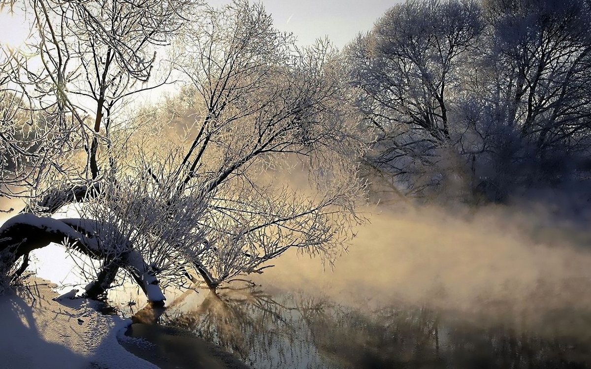 фото зима река деревья туман фото