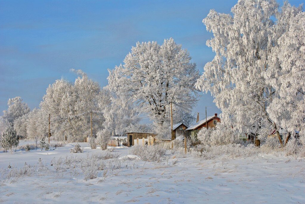 фото зимний пейзаж в деревне фото