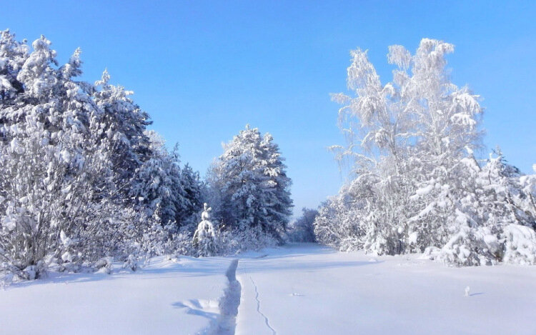 фото зимних пейзажей природы фото