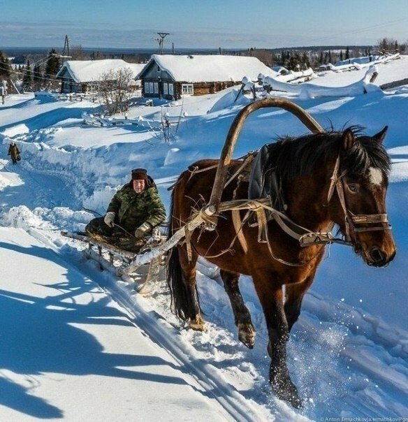 фото зимы лошадь с санями фото