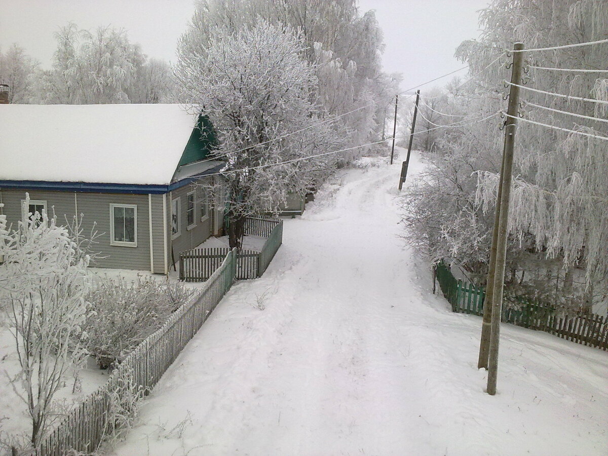 фото зимы в городе метель фото