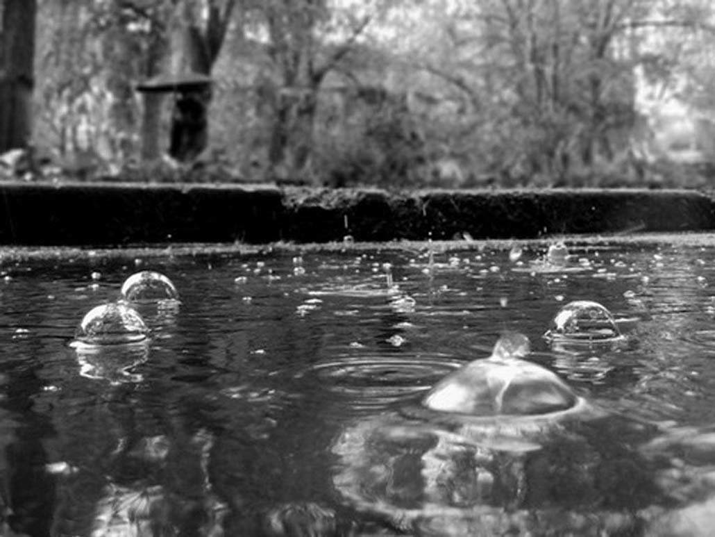 фотографии дождь лужи весна фото