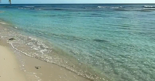 gif волны пляж фото