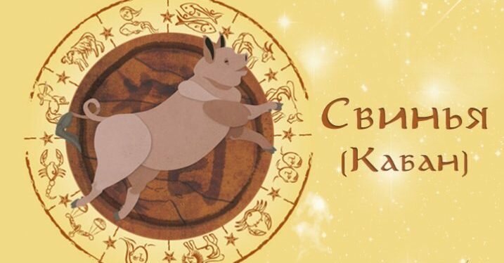 год свиньи фото