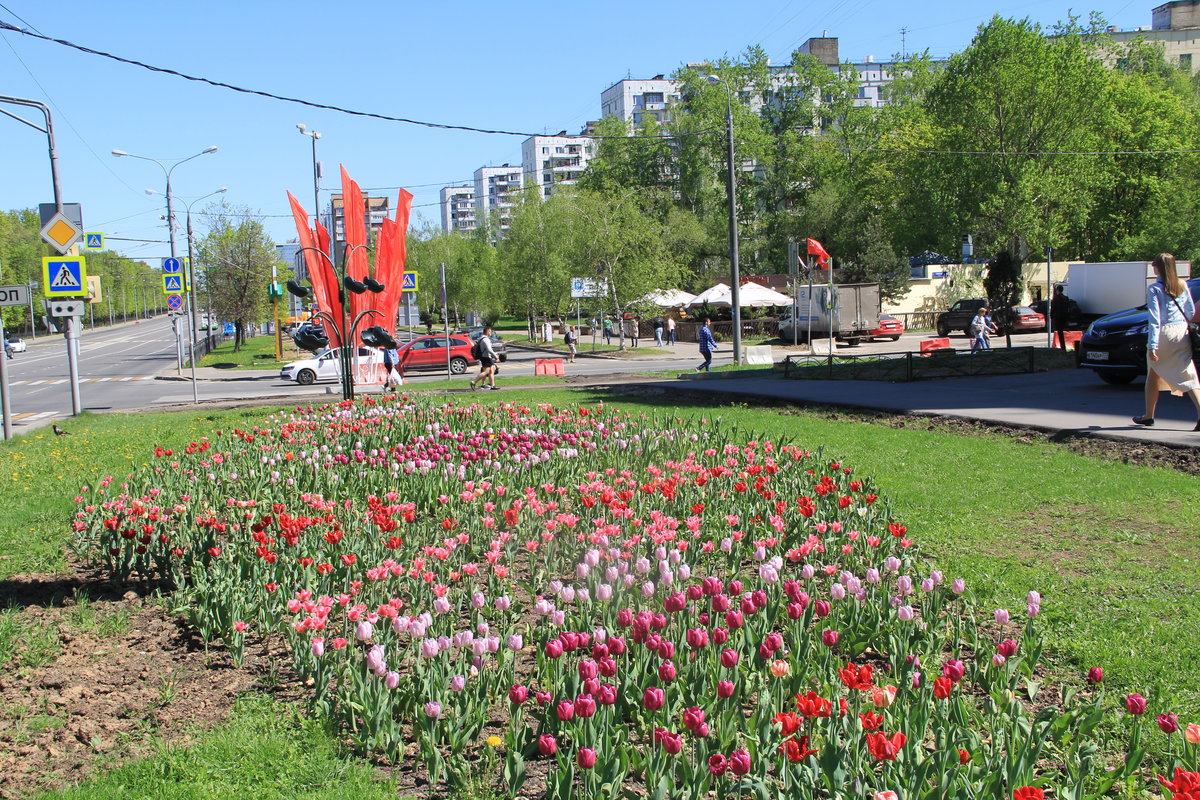 город барнаул фото клумбы фото