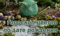 гороскоп по дате рождения фото