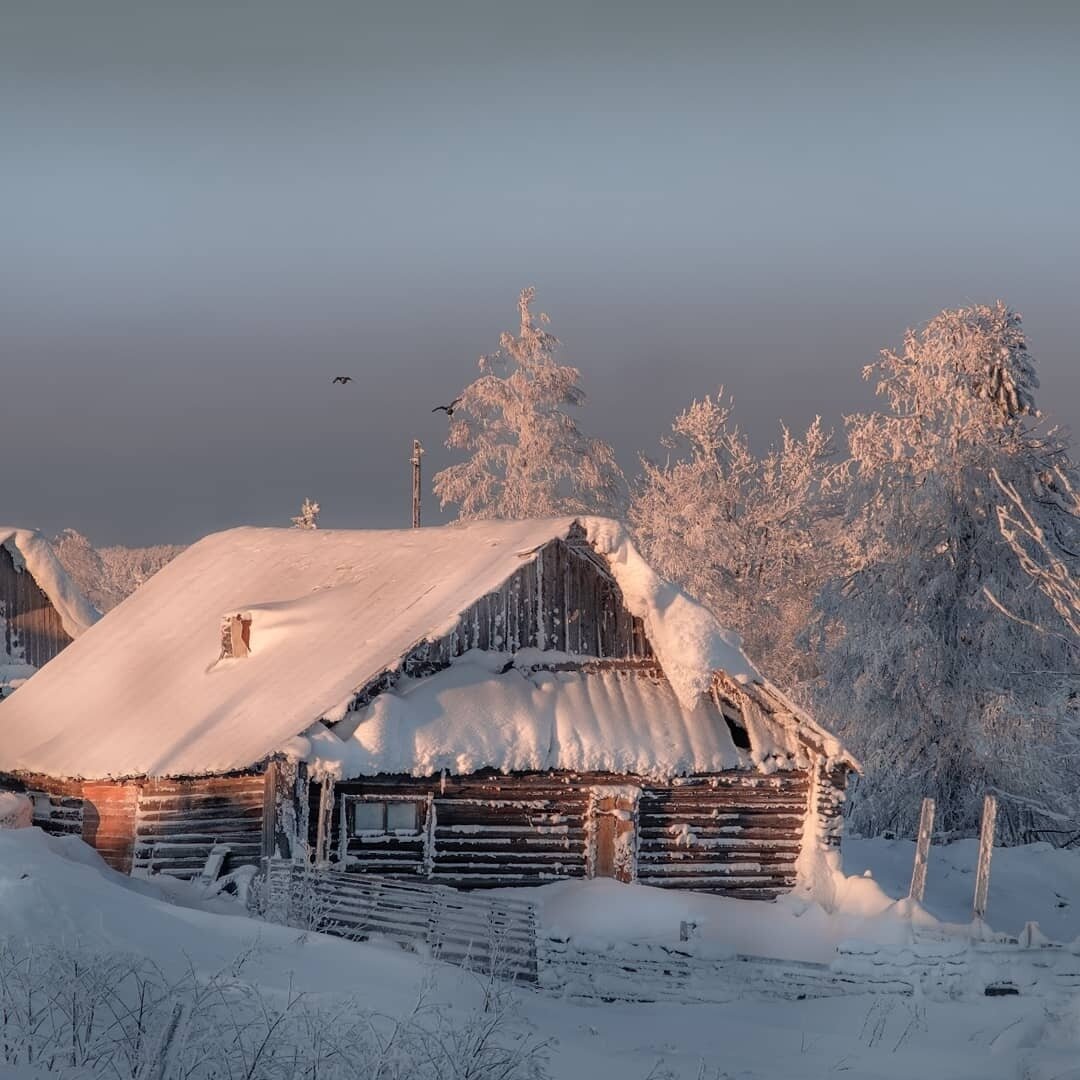 избушка в снегу фото